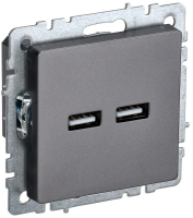 BR-U21-D31-K46 IEK фото