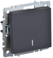 BR-V10-1-10-K53 IEK фото
