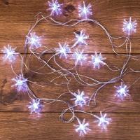 303-036 Neon-Night фото