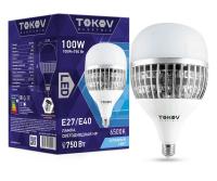 TKE-HP-E40/E27-100-6.5K TOKOV ELECTRIC фото
