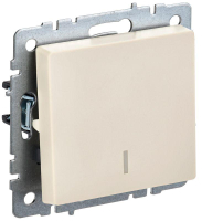 BR-V10-1-10-K10 IEK фото