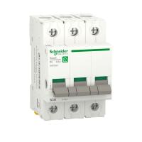 R9PS363 Schneider Electric фото