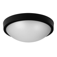 5048430 JazzWay фото