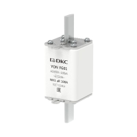 1FG01-0100-690V-AR  фото