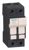 DF81N Schneider Electric фото