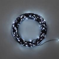 303-265 Neon-Night фото
