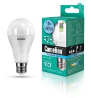 12036 Camelion фото