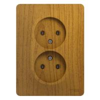 GSL000520 Systeme Electric фото