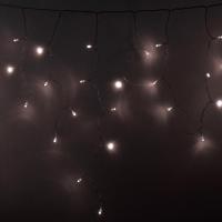255-146 Neon-Night фото