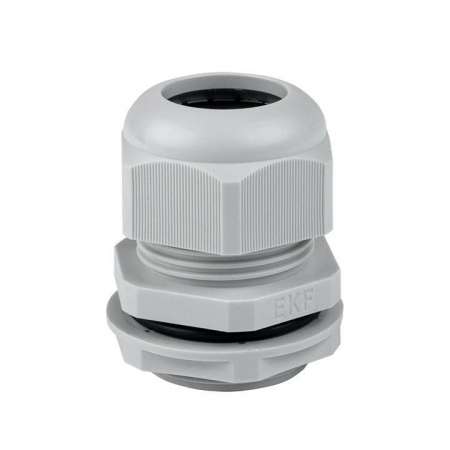 EKF plc-pg-21