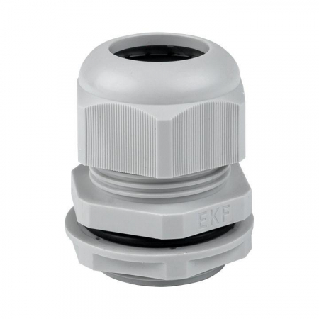 EKF plc-pg-25