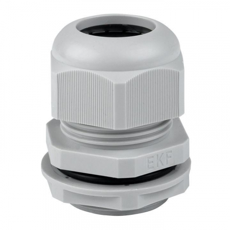 EKF plc-pg-29