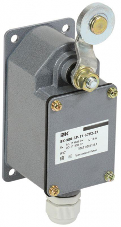 IEK KV-1-300-1