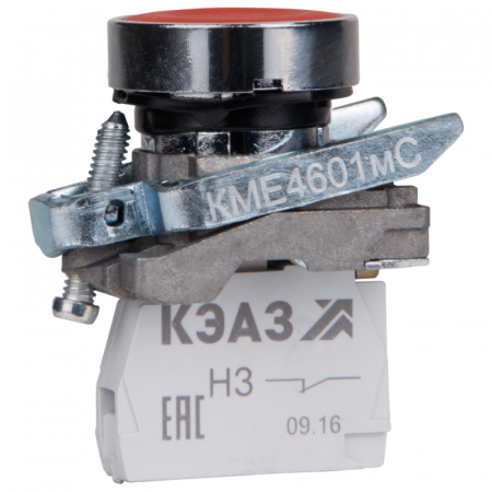 КЭАЗ 248261