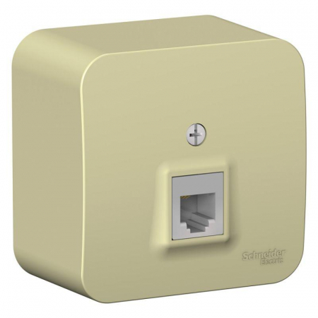 Schneider Electric BLNIA011007