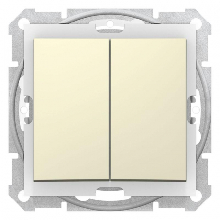 Schneider Electric SDN0300447