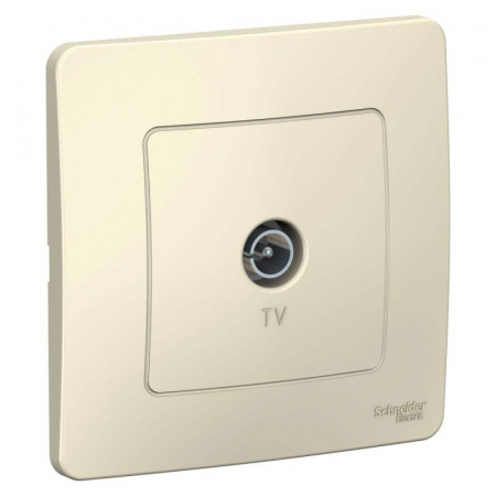 Systeme Electric BLNTS000012