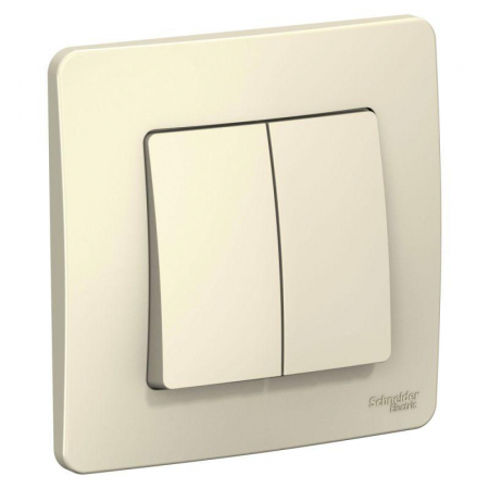 Systeme Electric BLNVS010502