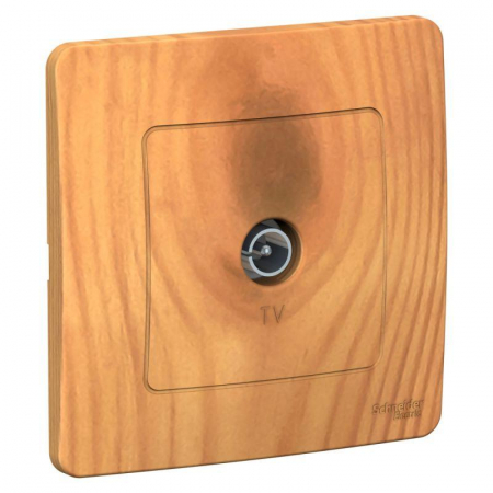 Schneider Electric BLNTS000015