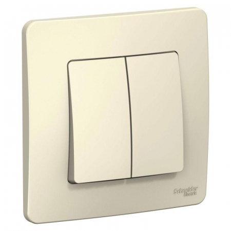 Schneider Electric BLNVS106602