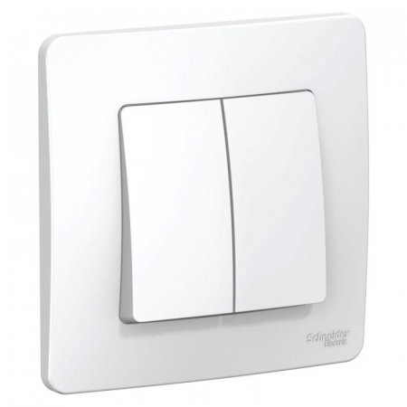 Systeme Electric BLNVS006501