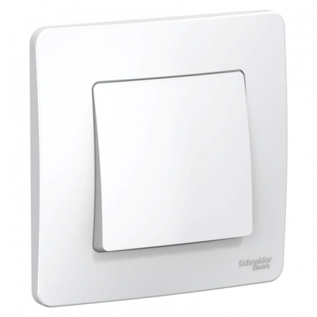 Systeme Electric BLNVS006101