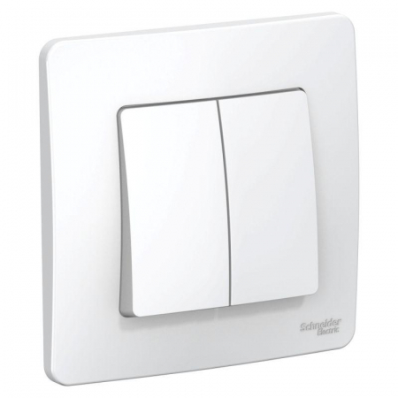 Systeme Electric BLNVS010501
