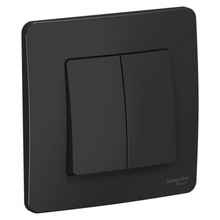 Systeme Electric BLNVS010506