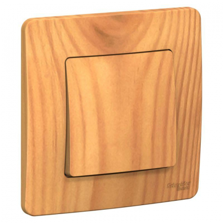 Systeme Electric BLNVS010105