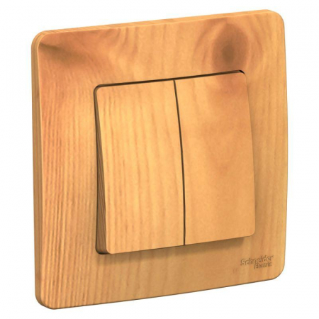 Systeme Electric BLNVS010505