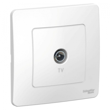 Systeme Electric BLNTS000011