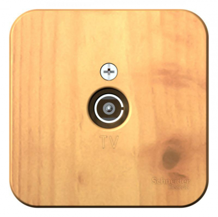 Systeme Electric BLNTA000015