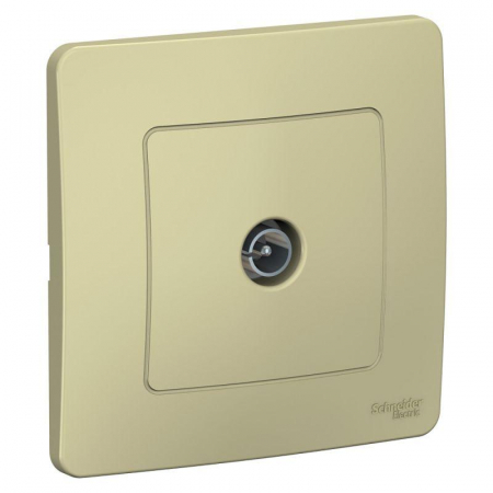 Systeme Electric BLNTS000017