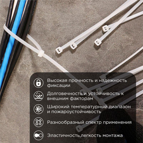 Rexant 07-0300