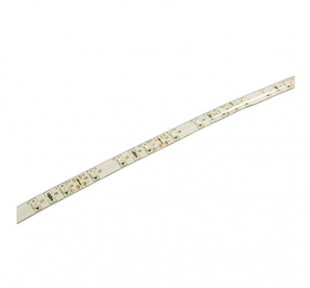 JazzWay 2859013