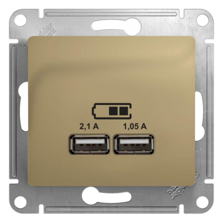 Systeme Electric GSL000433