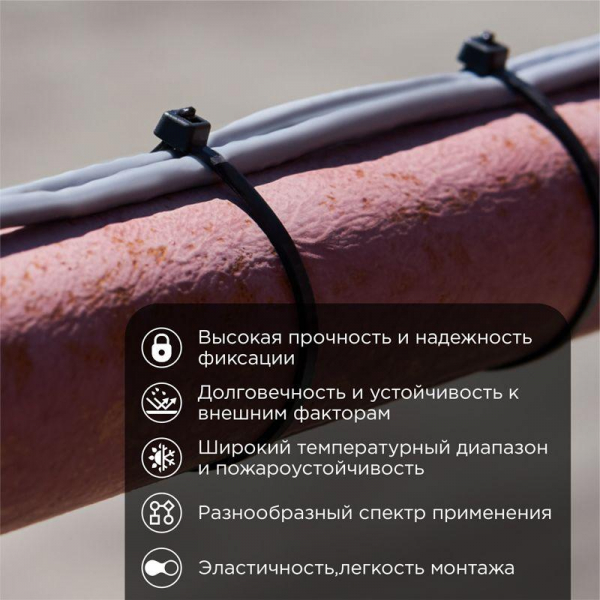 Rexant 07-0251-5
