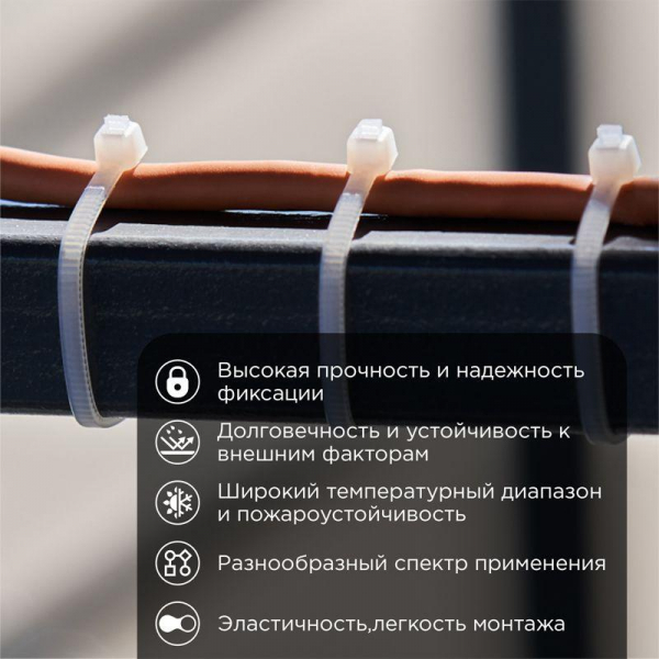 Rexant 07-0120