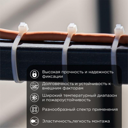 Rexant 07-0120