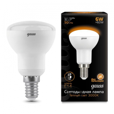 GAUSS 106001106