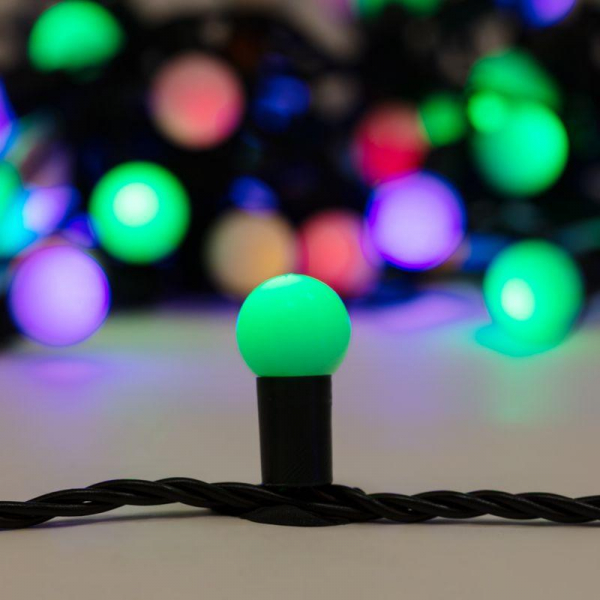 Neon-Night 303-509-6