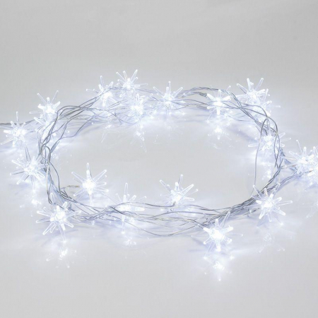 Neon-Night 303-036