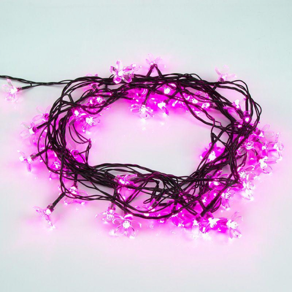 Neon-Night 303-038