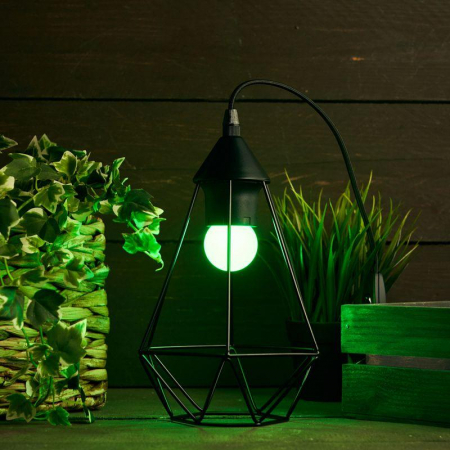 Neon-Night 405-114