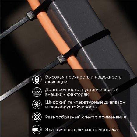 Rexant 07-0451-8