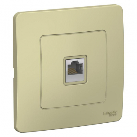 Systeme Electric BLNIS045007