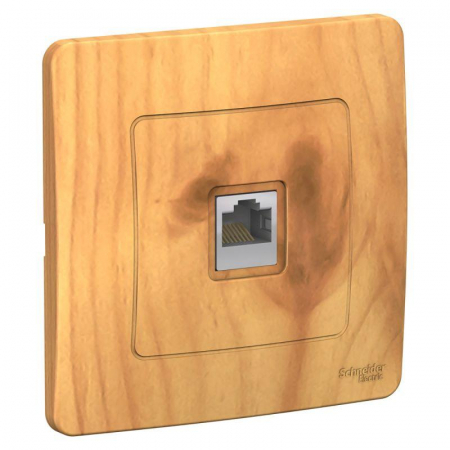 Systeme Electric BLNIS045005