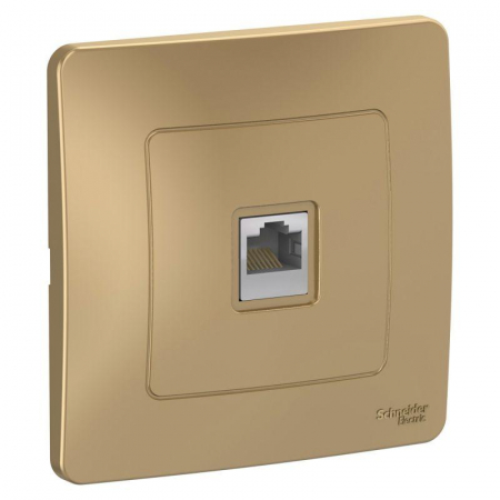 Schneider Electric BLNIS045004