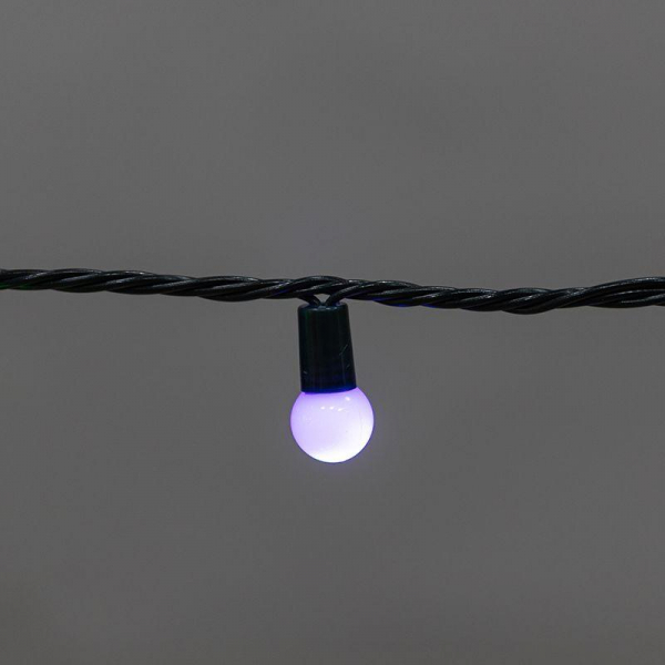 Neon-Night 303-609