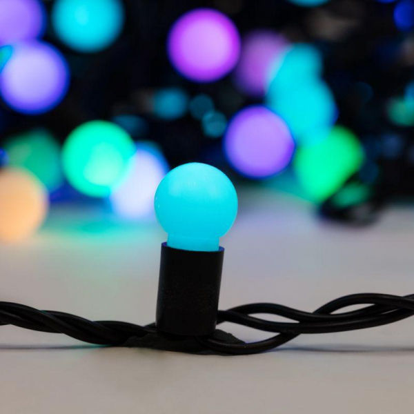 Neon-Night 303-509-2